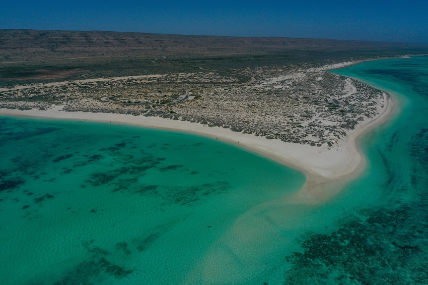 A drone shot of a bay in Exmouth with bright blue, clear water. Small shrubs dotted on the white sand.