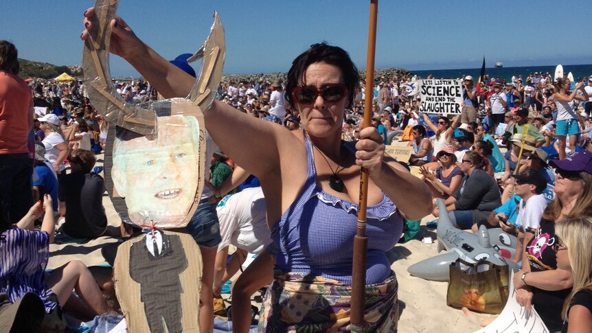 Activist protests shark cull at Cottesloe Beach
