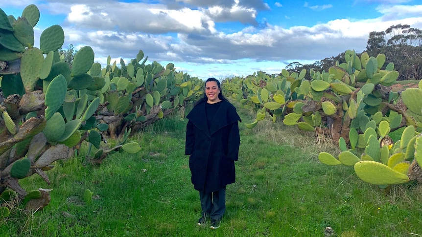 A woman in black is standing in a field with hundreds of green cactus plants