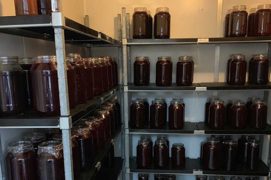 Dozens of jars of dark-coloured jam on shelves in a fridge