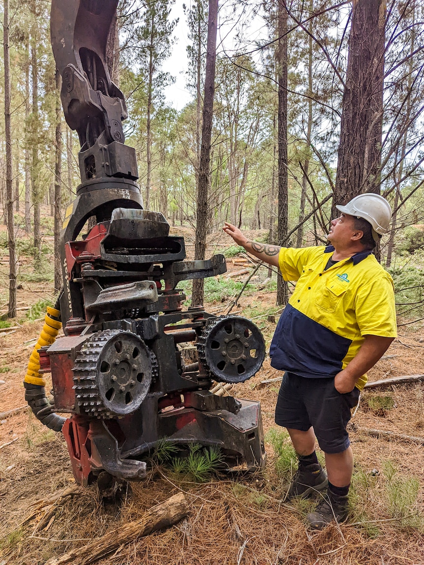 Worker in high vis and hard hat stands next to logging machinery 