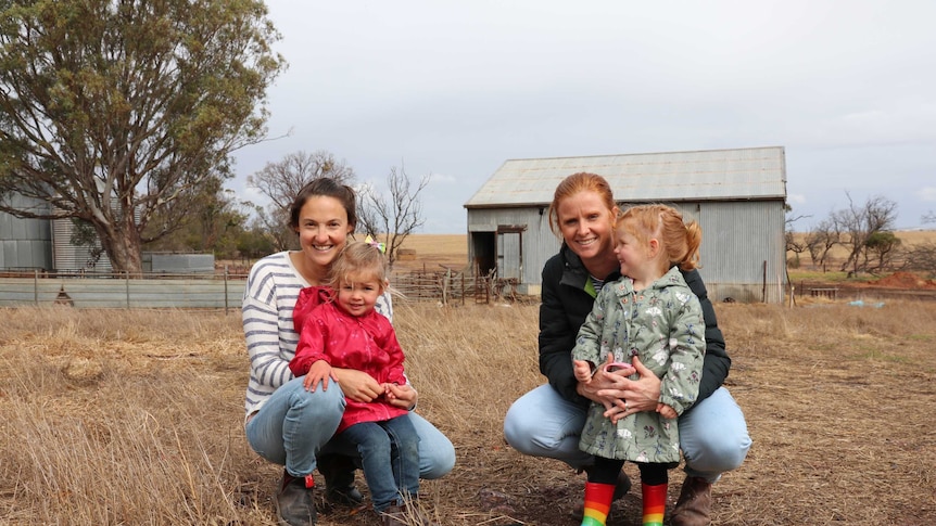 Farm life, Eyre Peninsula