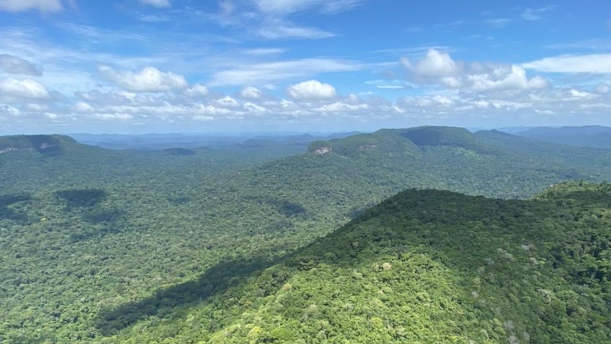 The view of the rain forest stretching to the horizon out of a plane window