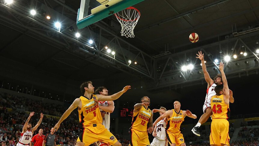 On fire ... Matt Knight (R) shoots over the Tigers defence.