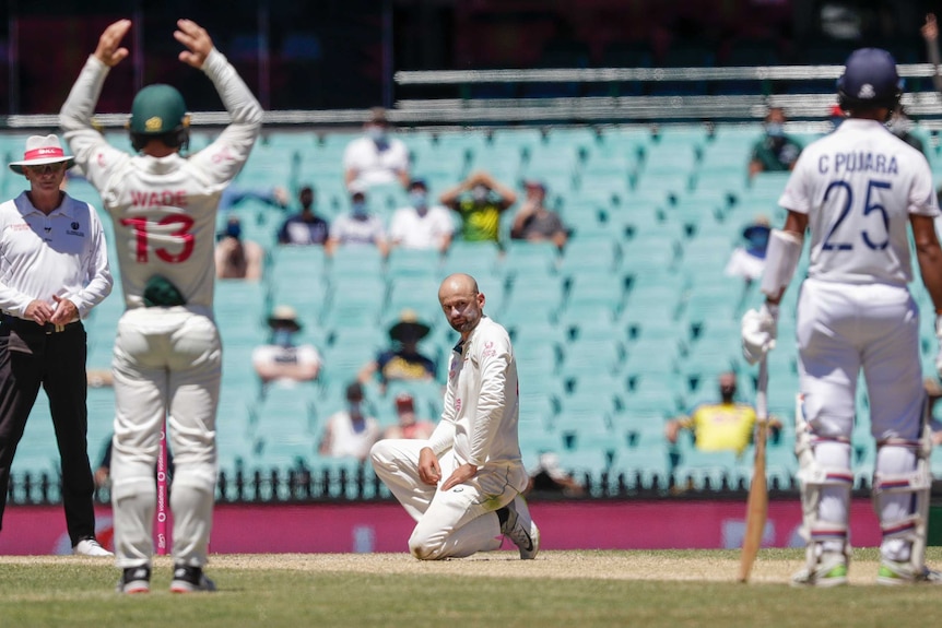 Nathan Lyon looks frustrated while kneeling down on the pitch. Matt Wade has his hands on his head