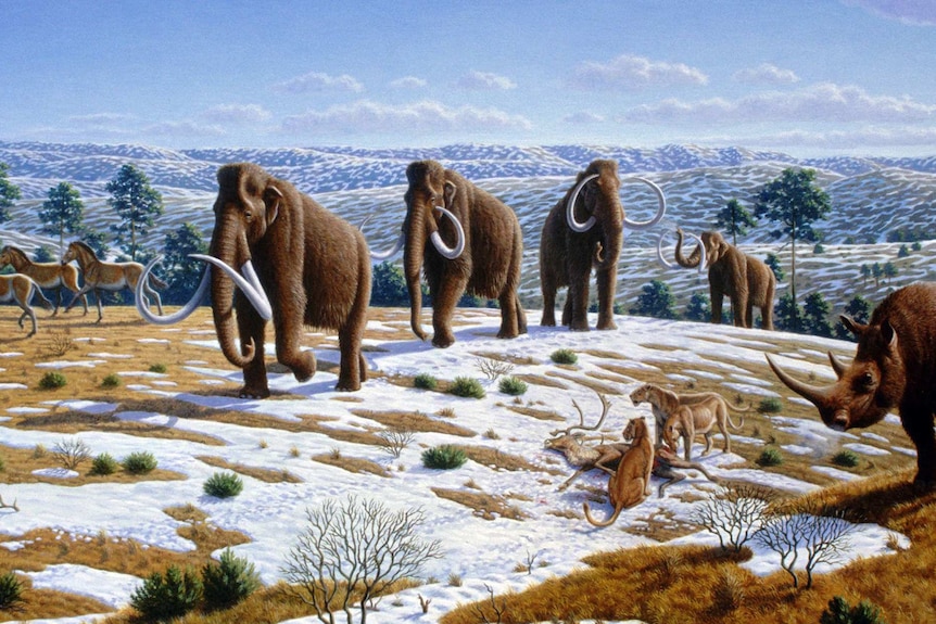 Painting: Melting snow on ground, woolly mammoths walk among horses, big cats eating a deer and other animals. Trees growing.