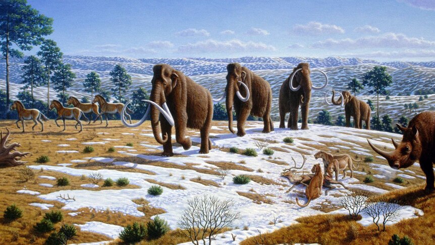 Painting: Melting snow on ground, woolly mammoths walk among horses, big cats eating a deer and other animals. Trees growing.