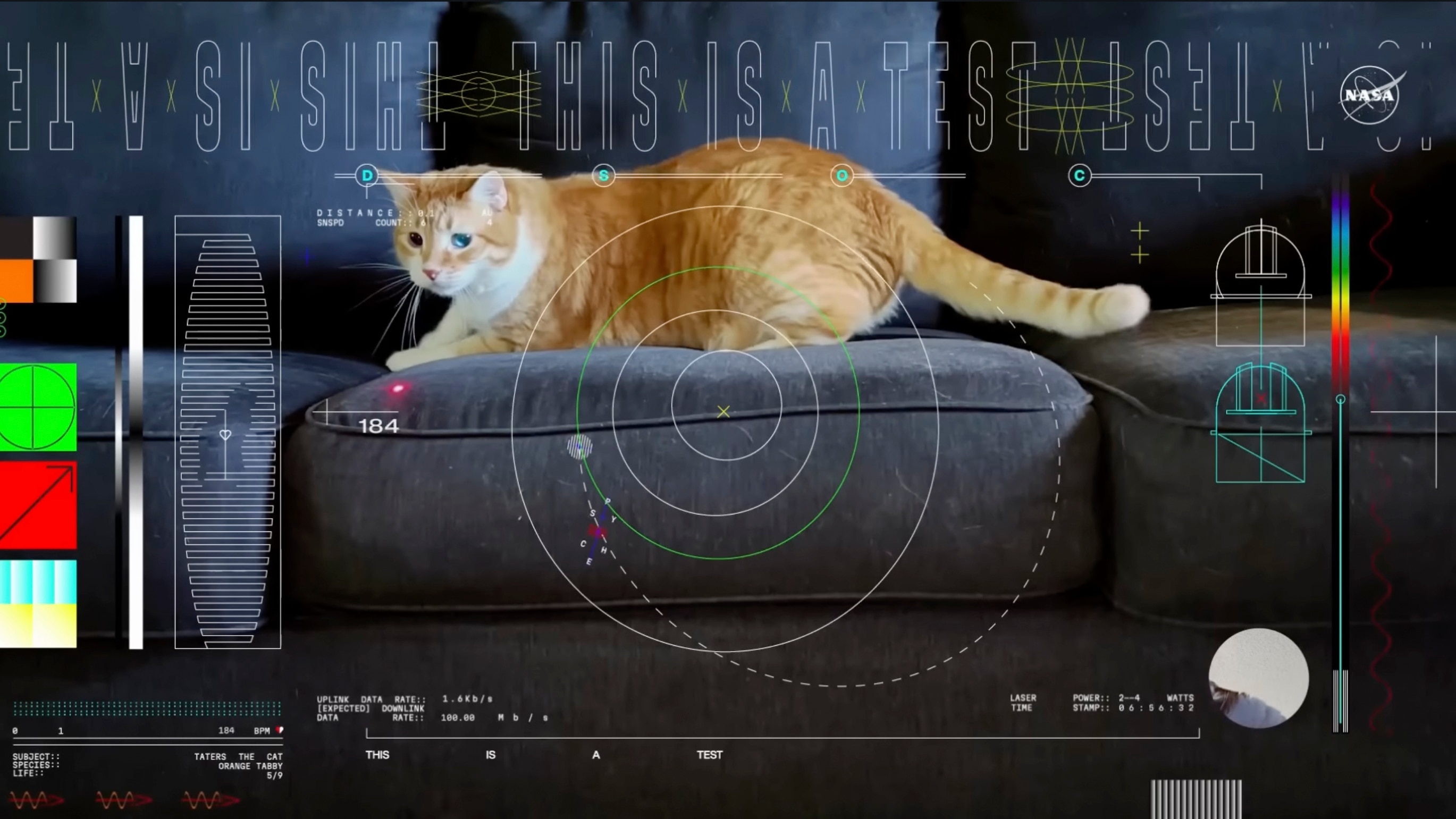 An image of a cat lying on a couch looking at a laser dot on its fabric, surrounded by video test pattern graphics