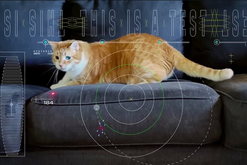 An image of a cat lying on a couch looking at a laser dot on its fabric, surrounded by video test pattern graphics