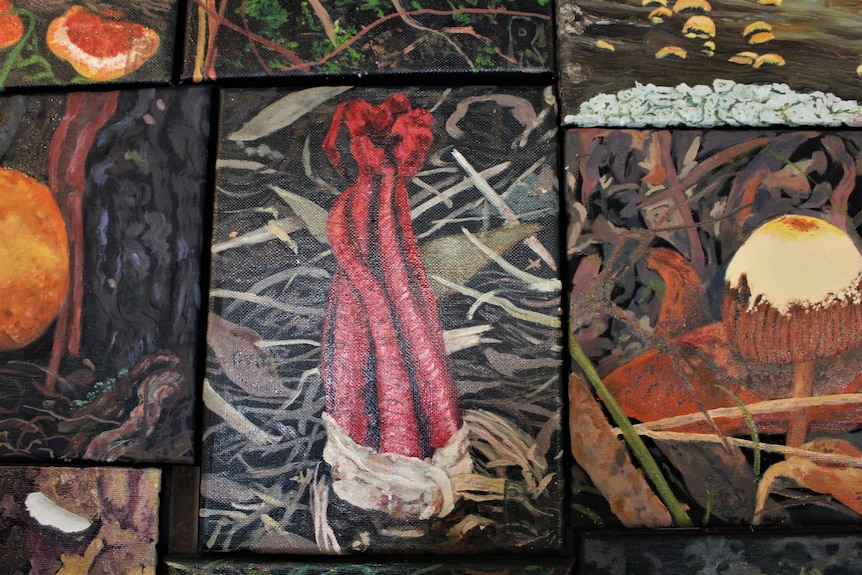 A painting of a type of fungi with red tentacle like features. It is nestled among other paintings.