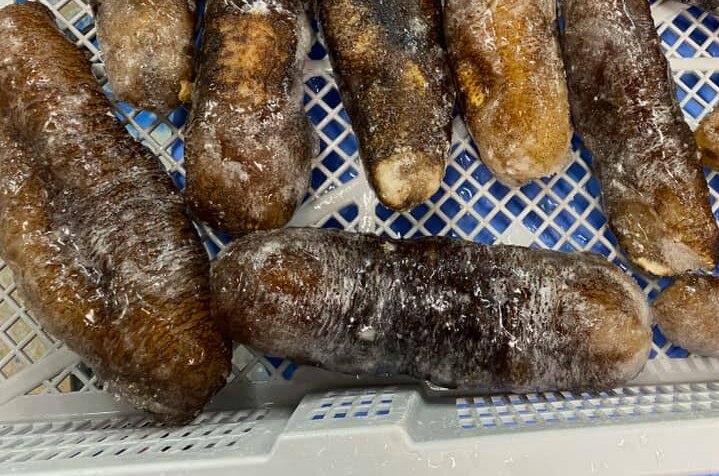Long brown sea cucumbers in a tray at the markets