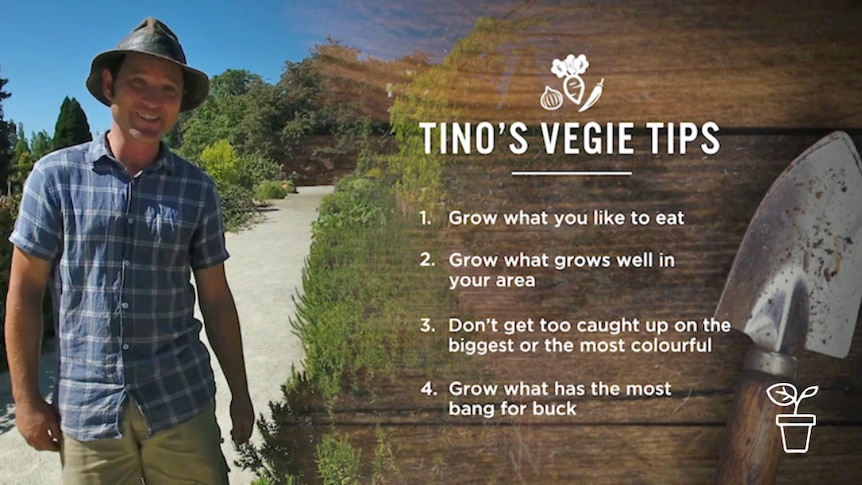 Man standing next to graphic 'Tino's Vegie Tips'