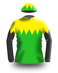 Jockey silks