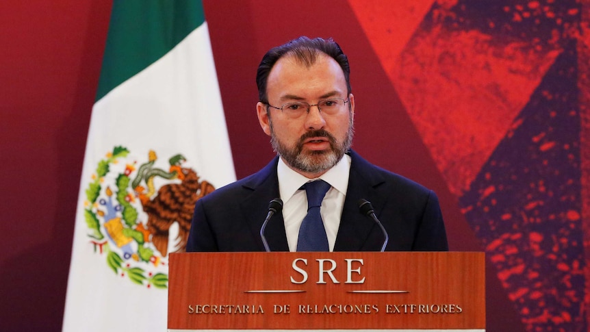 Mexico's Foreign Minister Luis Videgaray delivers a speech.