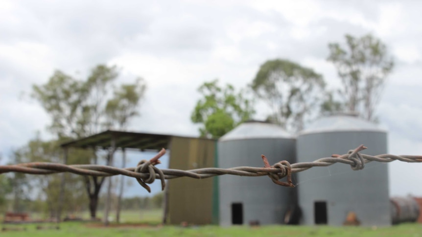 The membership of the Queensland Rural Debt Taskforce was a heated topic between the state's political parties.