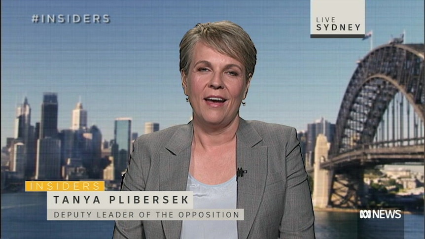 Plibersek wants Joyce to answer questions about ' taxpayers' funds have been expended'
