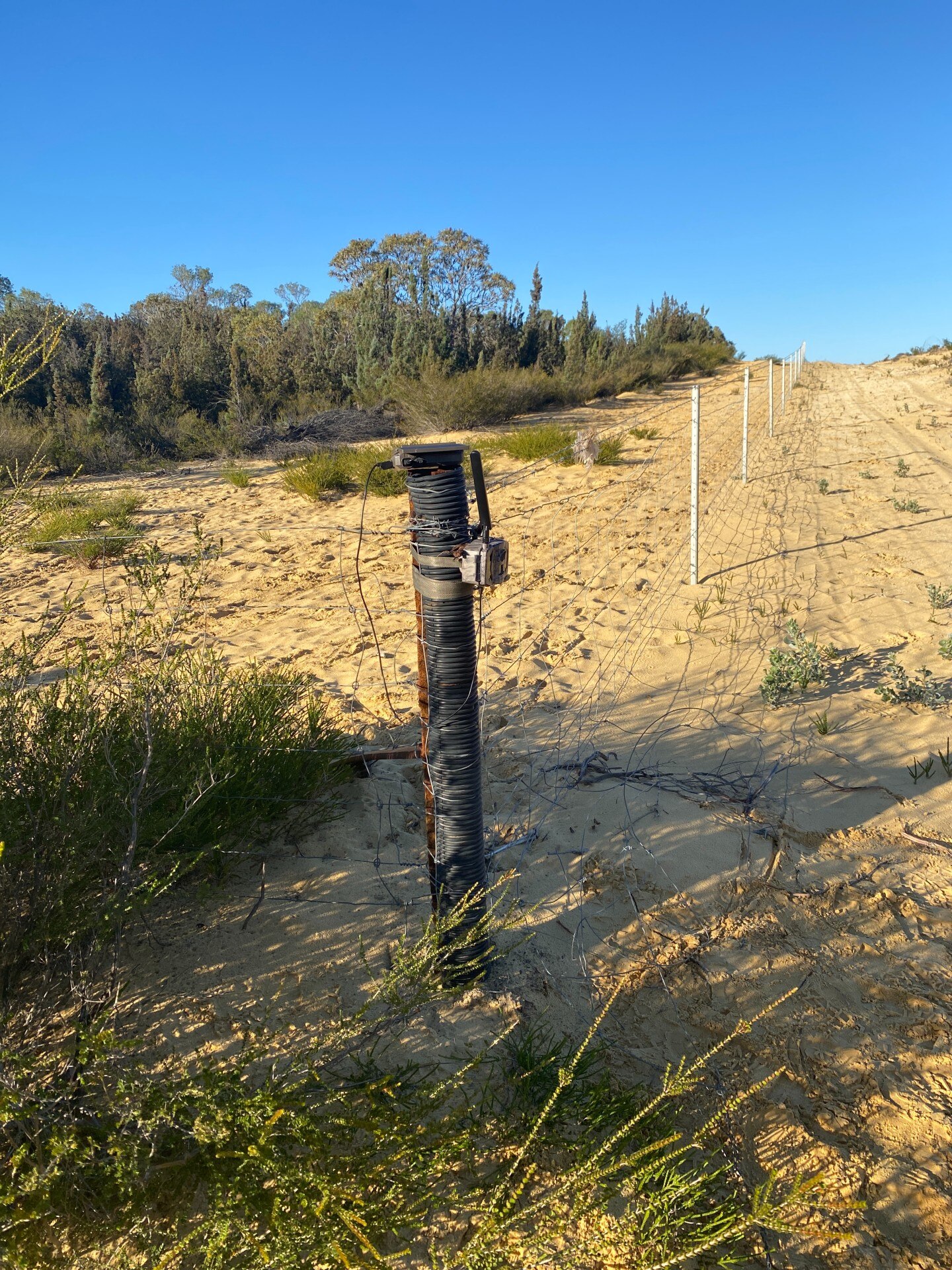 A small camera mounted on a post with sandy soil and fence extending into the distance with trees on the left