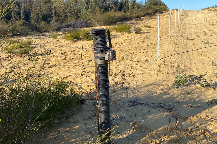 A small camera mounted on a post with sandy soil and fence extending into the distance with trees on the left
