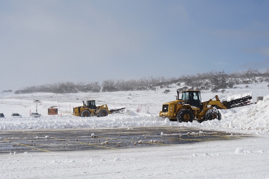 Bulldozers in the snow