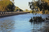 Rising floodwaters lap Cunnamulla bridge at 6am (AEST) on February 8. Audience submitted: Toni-lou Pender