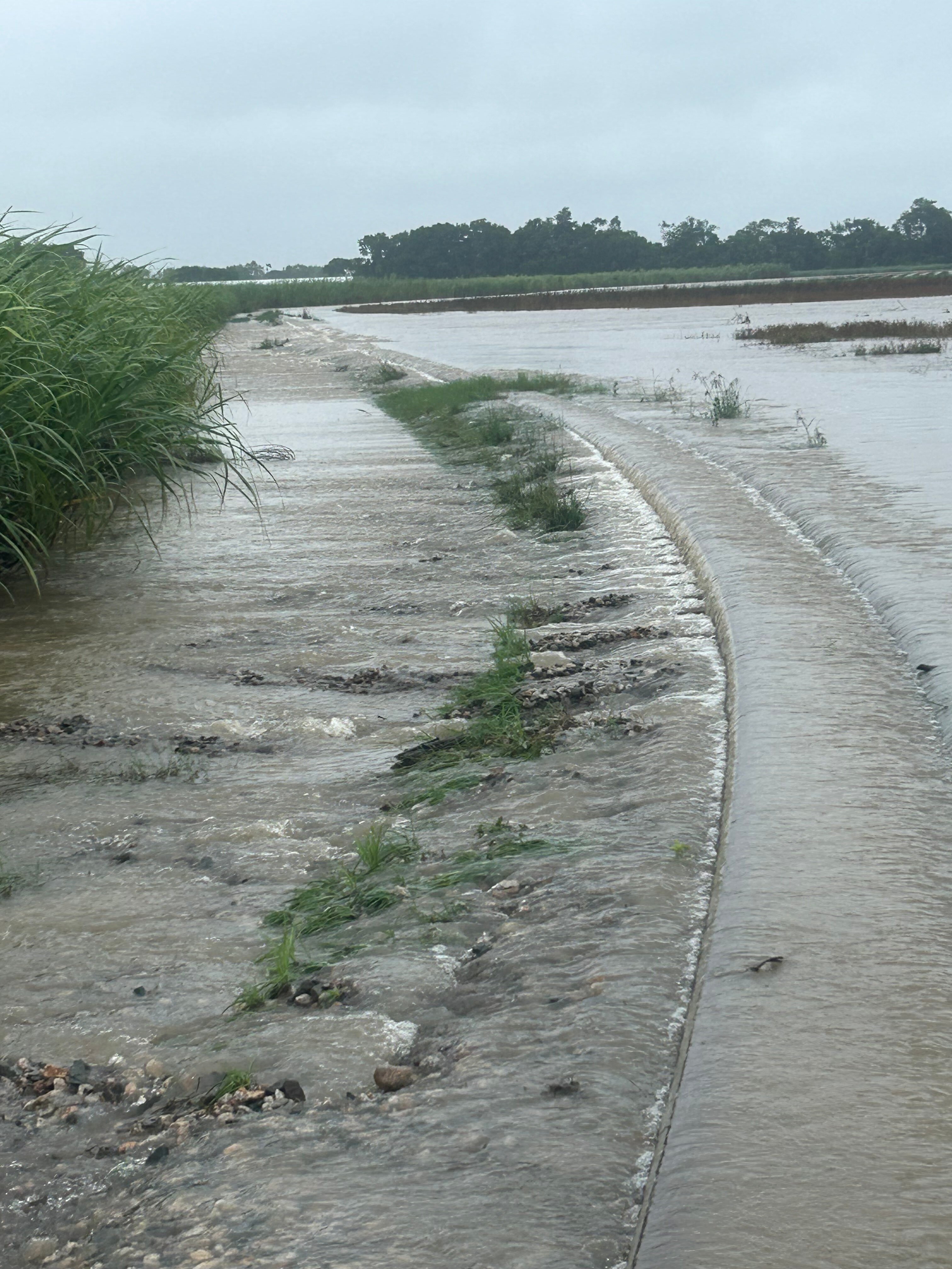 'Wall of water' smashes north Queensland cane and banana crops