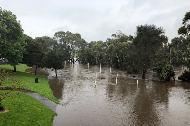 A flooded river covers a school oval, with goal posts sticking out of the water.