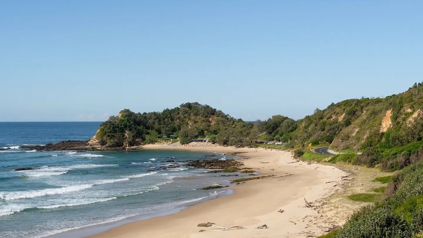 Beach with green headland