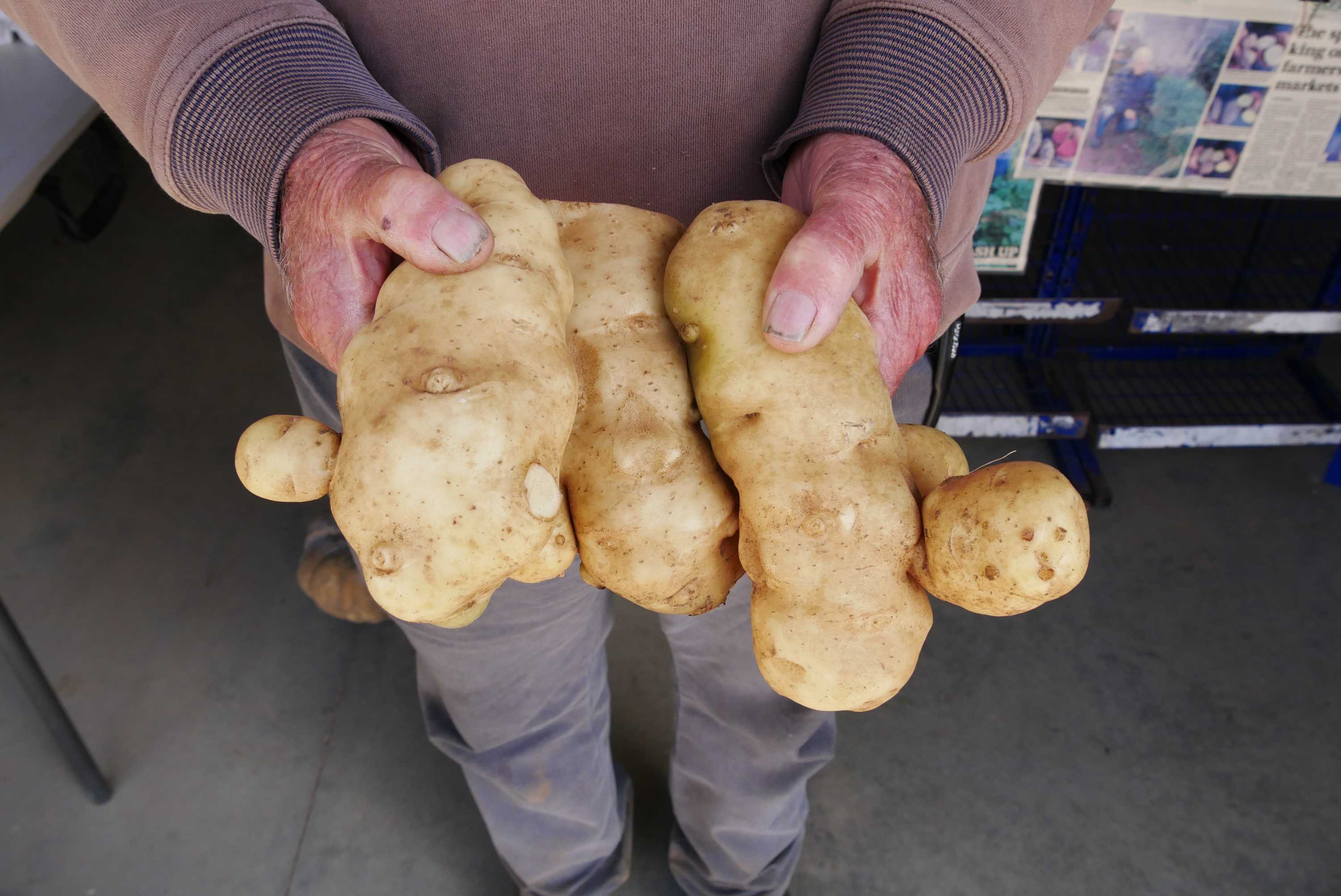 'Potato people are different' A gourmet producer's guide to the best