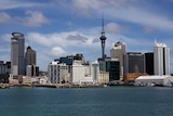 Daytime photo of Auckland city skyline.