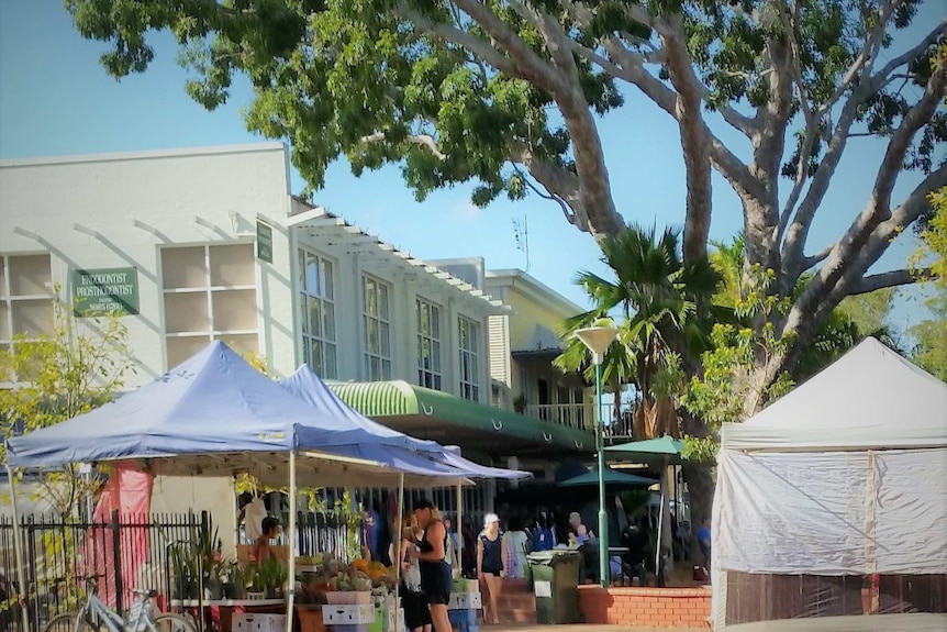 View of a suburban market with a large mahogany tree dominating.