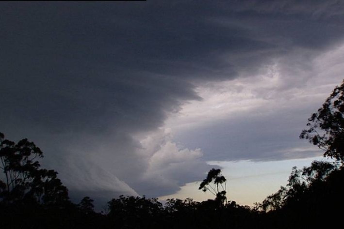The storm weakened just before it hit Brisbane but caused extensive black-outs from the bayside to the Lockyer Valley.