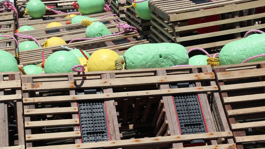 Rock lobster pots with green and yellow buoys attached.