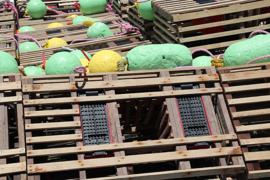 Rock lobster pots with green and yellow buoys attached.