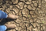 The cracked earth of a drought-affected area in Queensland