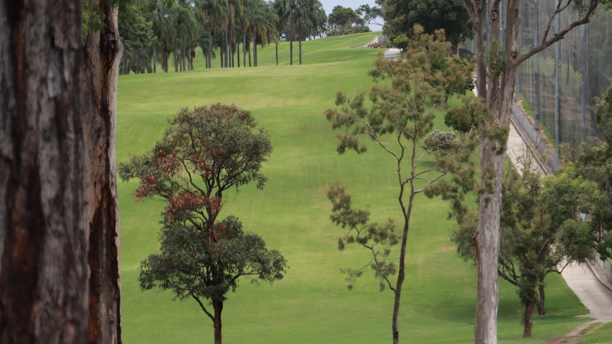 Generic view of rolling hills at Victoria Park in Brisbane.