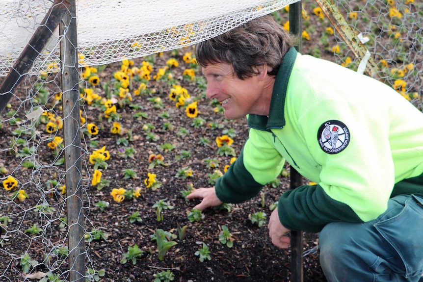 Floriade head gardener Andrew Forster