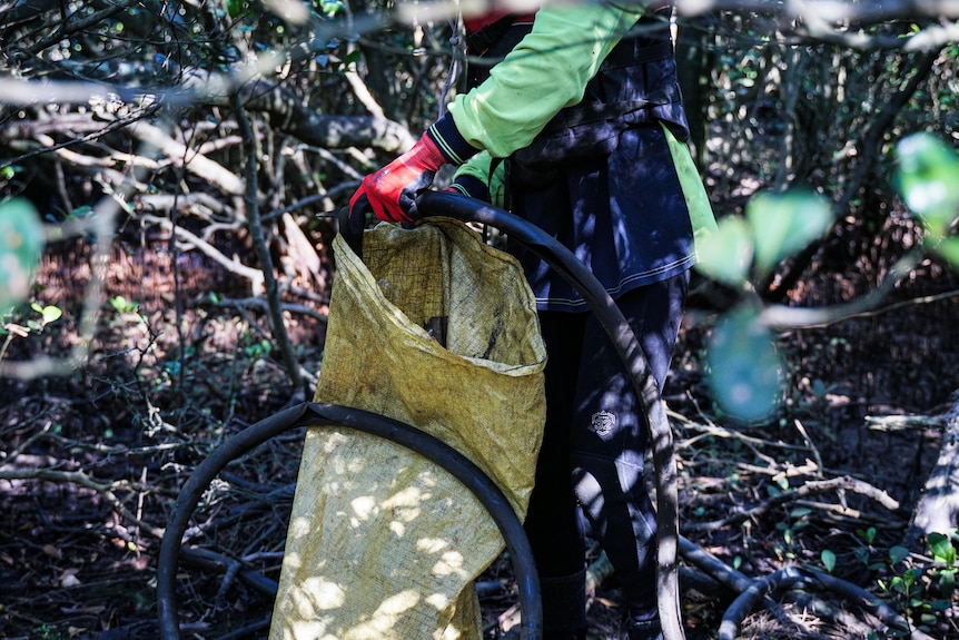 A yellow rubbish bag in the bush.