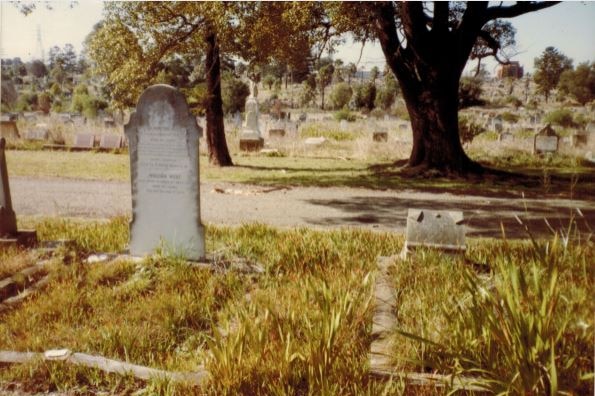 Two headstones in the foreground with a road behind and more headstones at Rookwood cemetery.