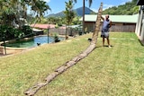 A man holding a very long snake skin in a Cairns backyard