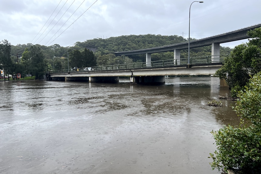 A concrete bridge sits above a rising river with grassy banks off to the side