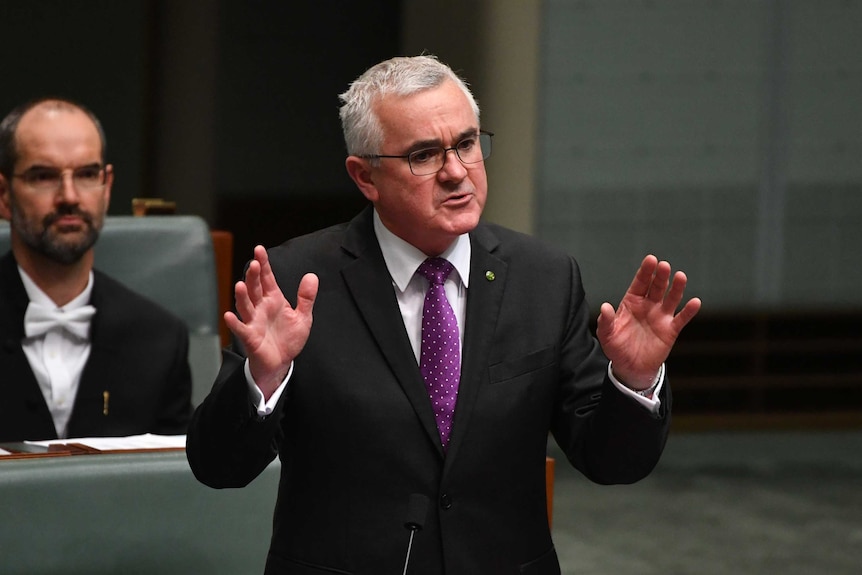 Independent MP Andrew Wilkie speaks during Question Time