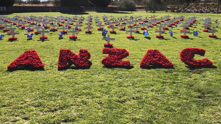 A grass patch with the word anzac made of poppies with several crosses with names behind it. 