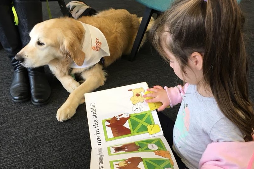Girl reads a book at the library with a dog nearby