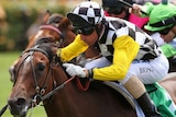 Close up photo of Glen Boss riding Zarzali to win race two on Melbourne Cup day.