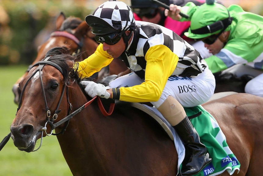 Close up photo of Glen Boss riding Zarzali to win race two on Melbourne Cup day.