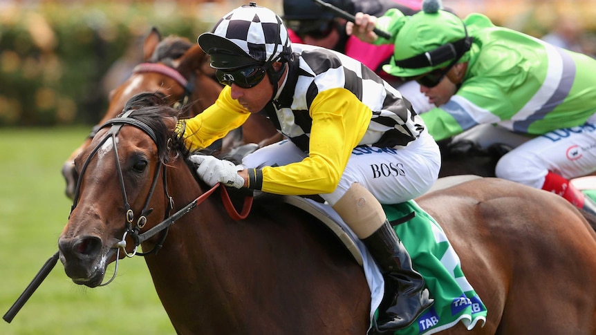 Close up photo of Glen Boss riding Zarzali to win race two on Melbourne Cup day.