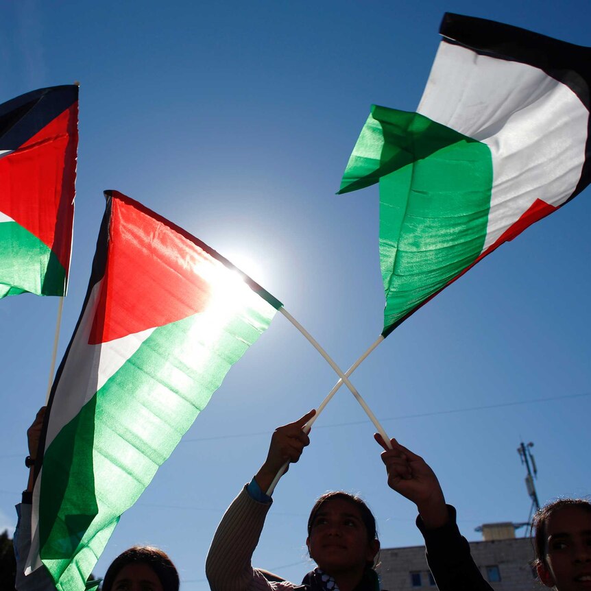 People wave Palestinian flags in support of resolution.