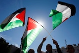 People wave Palestinian flags in support of resolution.