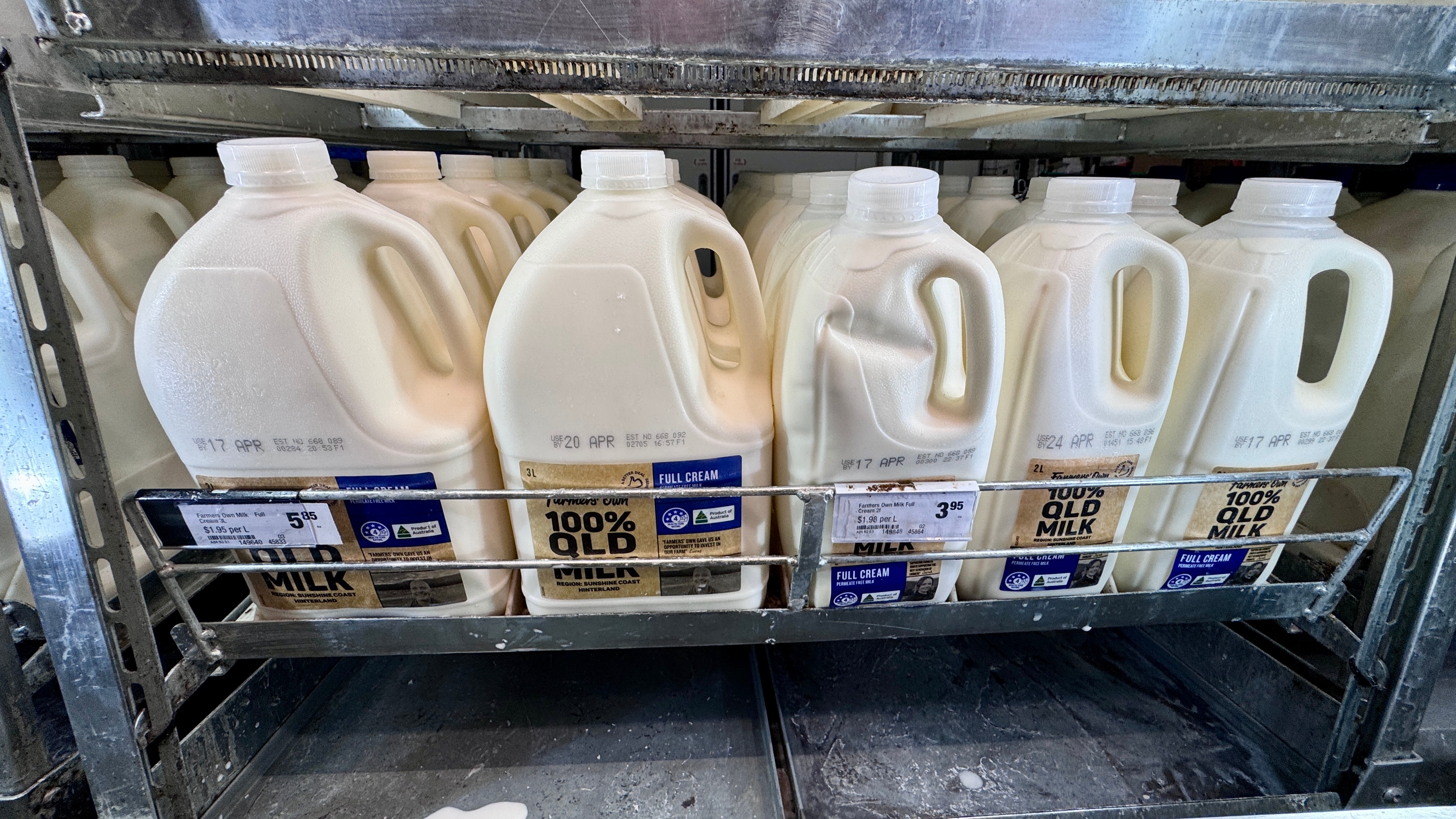 Những chai sữa trong tủ lạnh.