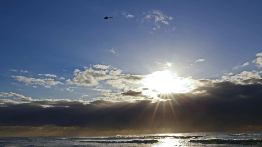 Shark search at Lennox Head